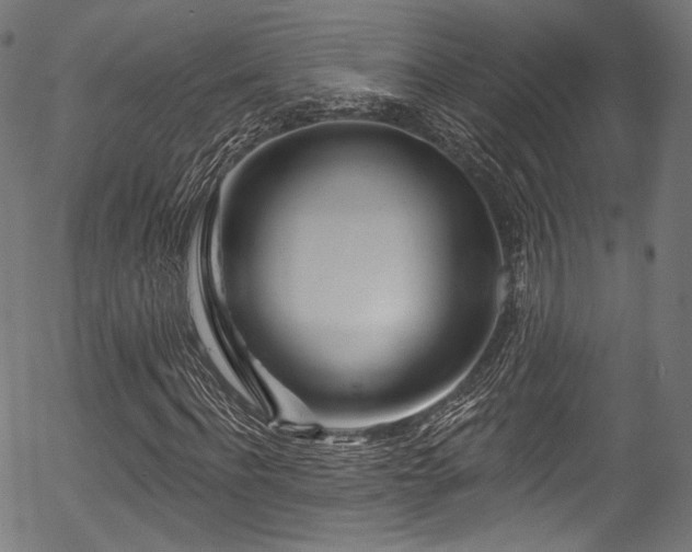 X0000056370916200508291356