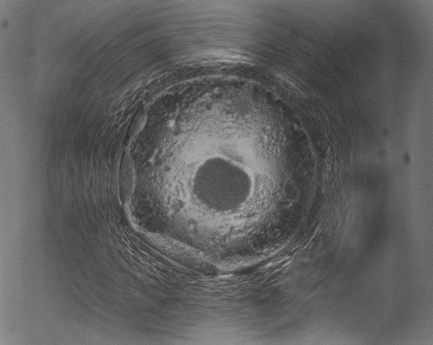 X0000056370917200508291356