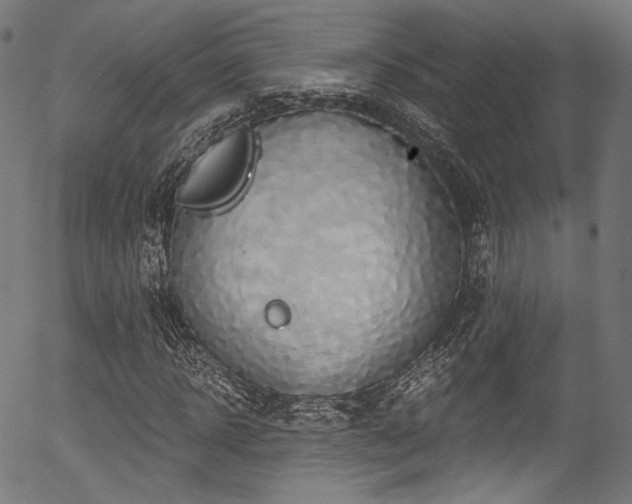 X0000056370918200508291356