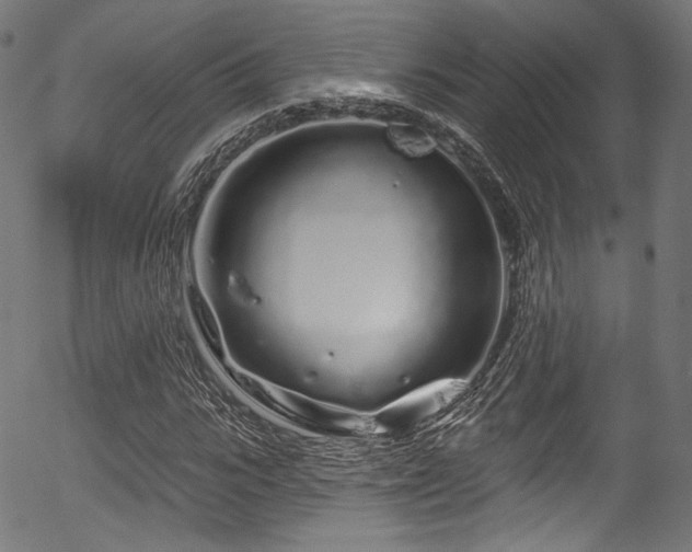 X0000056370919200508291356