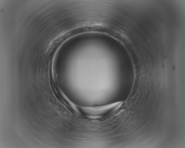 X0000056370920200508291356