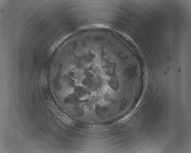 X0000056370921200508291357