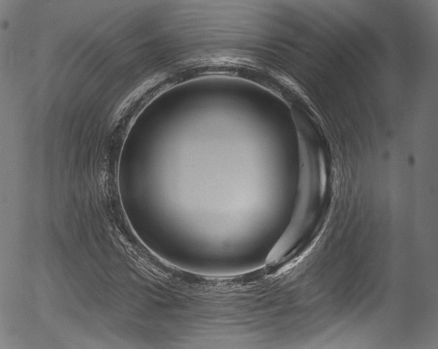 X0000056370922200508291357