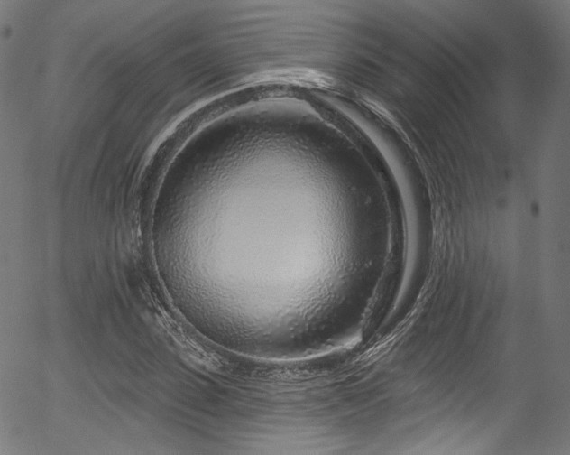 X0000056370923200508291357