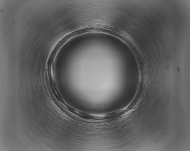 X0000056370924200508291357