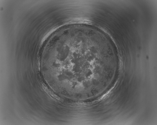 X0000056370925200508291357