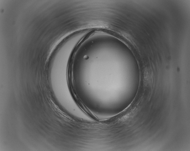 X0000056370926200508291357