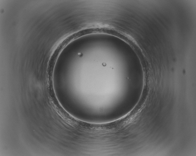 X0000056370927200508291357