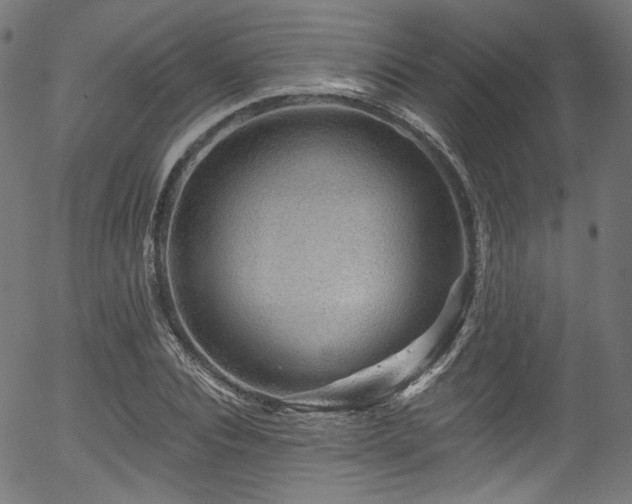 X0000056370928200508291357