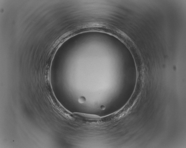 X0000056370929200508291357