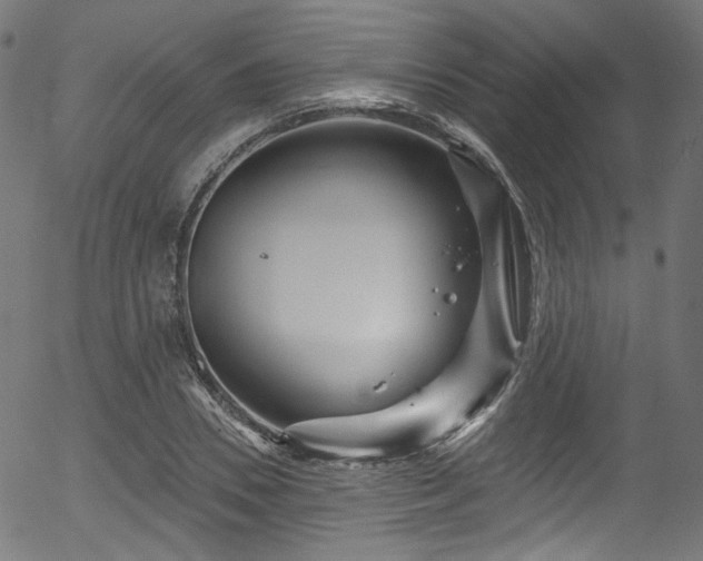 X0000056370930200508291357