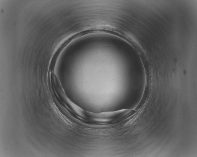 X0000056370932200508291357