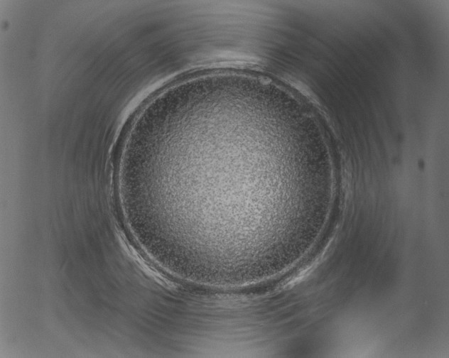 X0000056370933200508291357