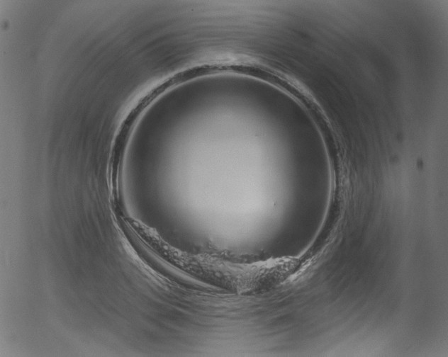 X0000056370935200508291357