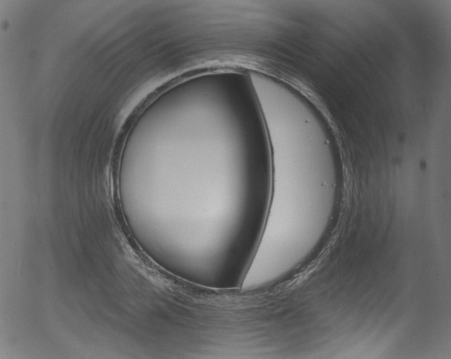 X0000056370936200508291357