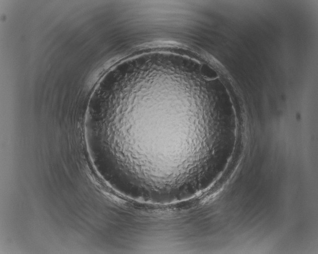 X0000056370937200508291357