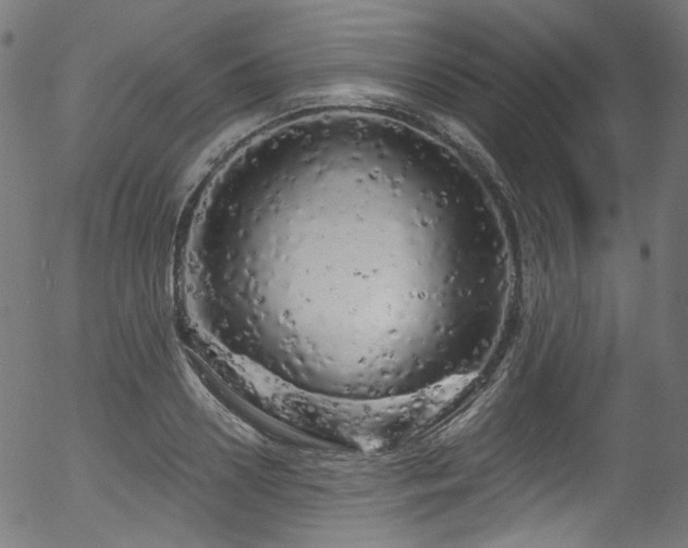 X0000056370938200508291357