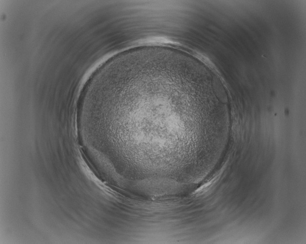 X0000056370939200508291357