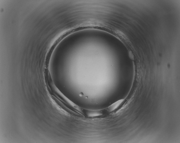 X0000056370942200508291357