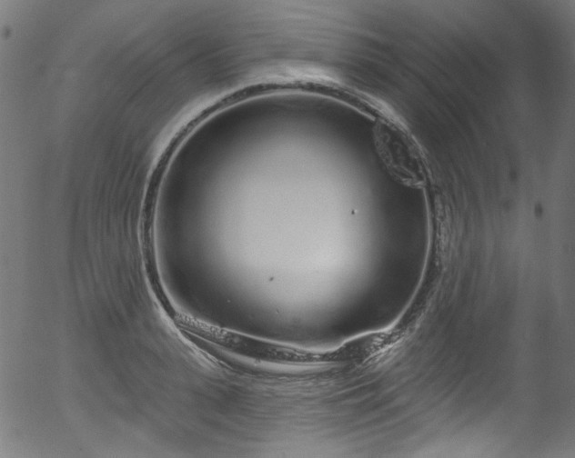 X0000056370943200508291357