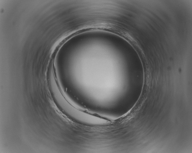 X0000056370944200508291357