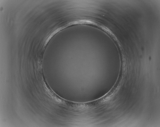 X0000056370945200508291357