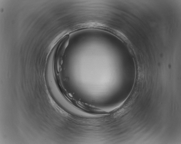 X0000056370946200508291357