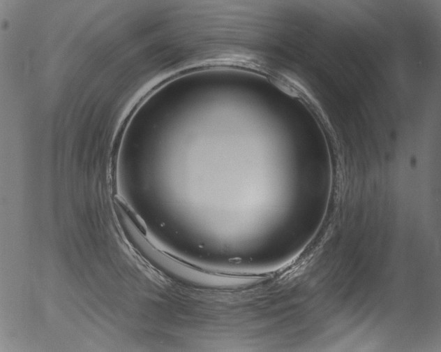 X0000056370948200508291357