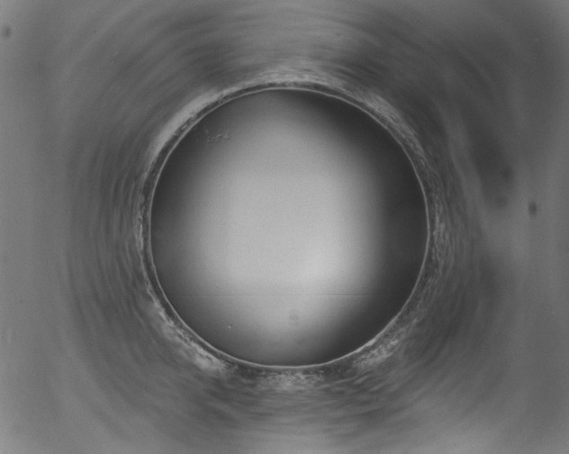 X0000056370950200508291357