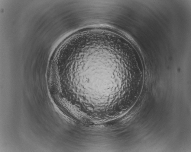 X0000056370951200508291357