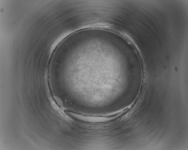 X0000056370952200508291357