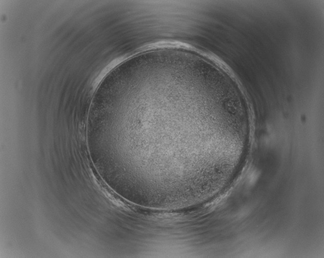 X0000056370953200508291357