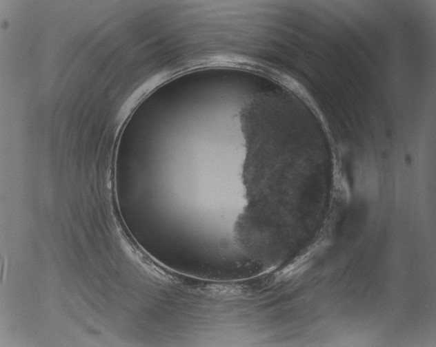 X0000056370954200508291357