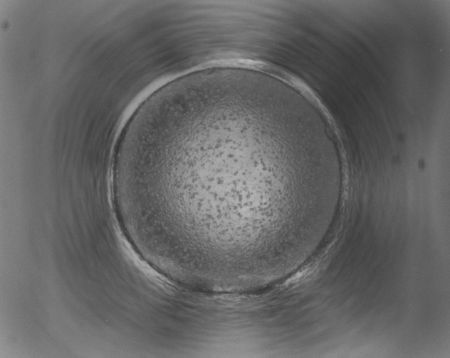 X0000056370955200508291357