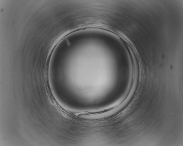 X0000056370956200508291357