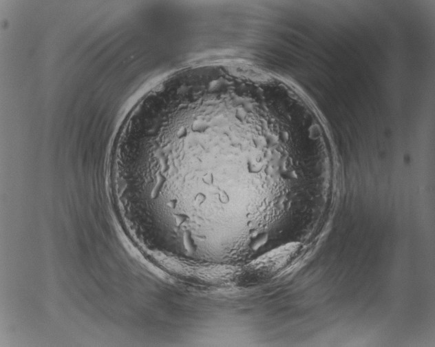 X0000056370957200508291357