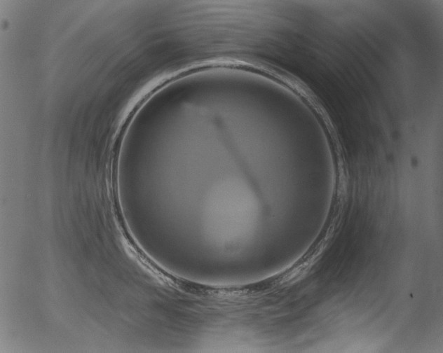 X0000056370958200508291357