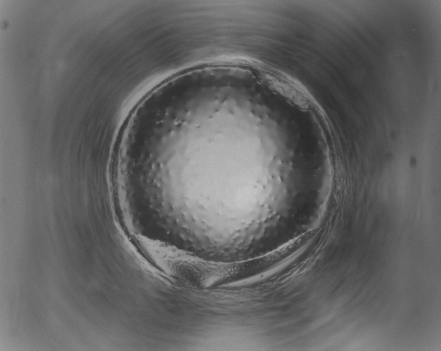 X0000056370959200508291357