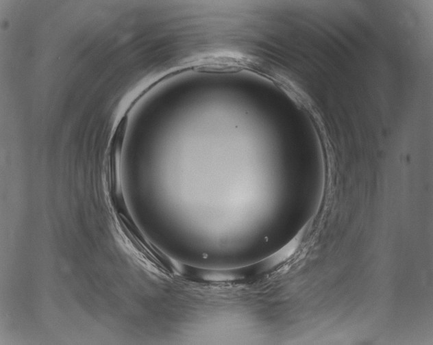 X0000056370960200508291357