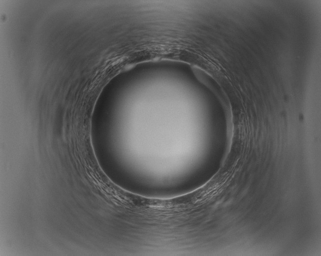 X0000056370961200508291356