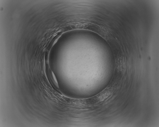 X0000056370962200508291356