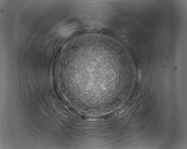 X0000056370963200508291356