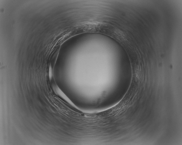 X0000056370964200508291356