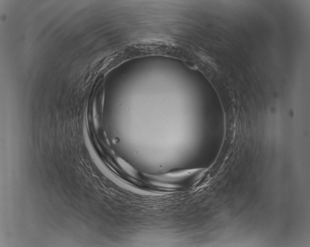 X0000056370965200508291356