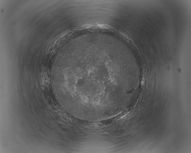 X0000056370966200508291356