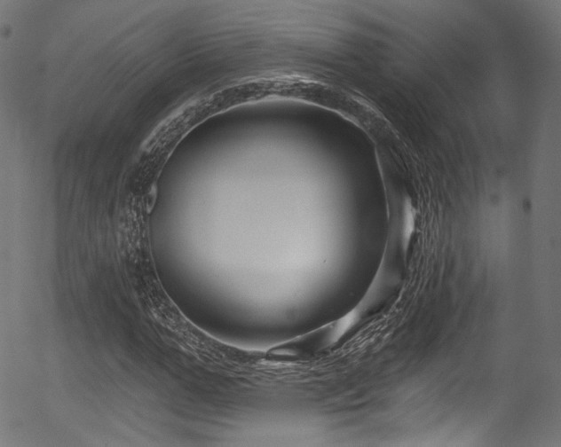 X0000056370967200508291356