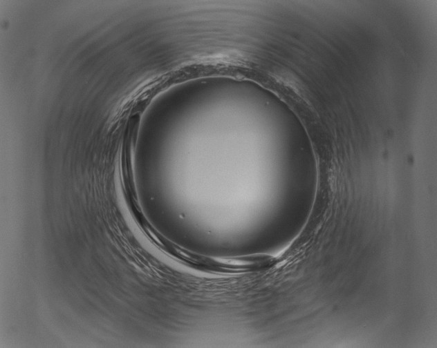 X0000056370968200508291356