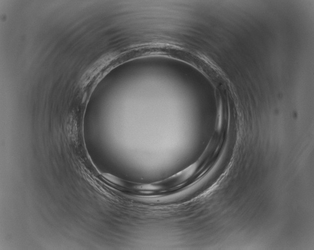 X0000056370969200508291356