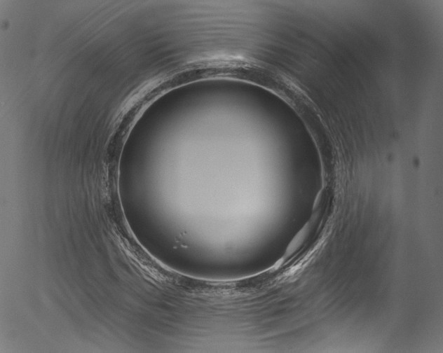 X0000056370970200508291356