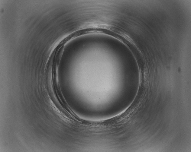 X0000056370972200508291356